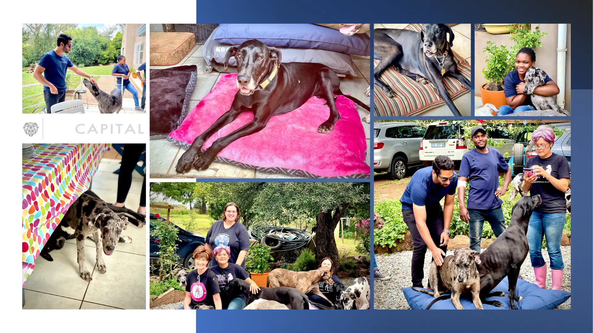 YL-Capital-CARES-Sanctuary-P1 copy YL Capital CARES