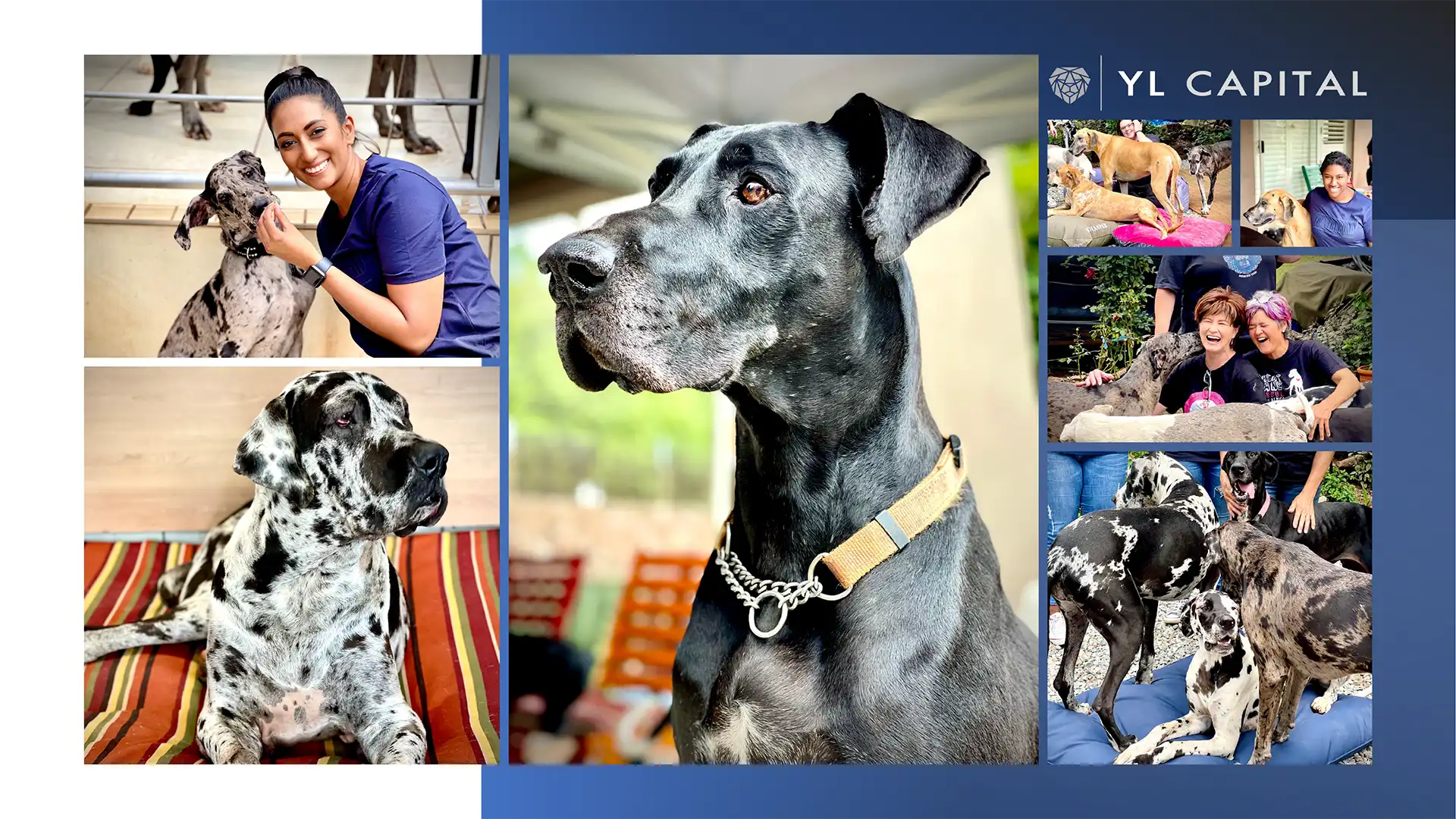 YL-Capital-CARES-Sanctuary-P2 YL Capital CARES